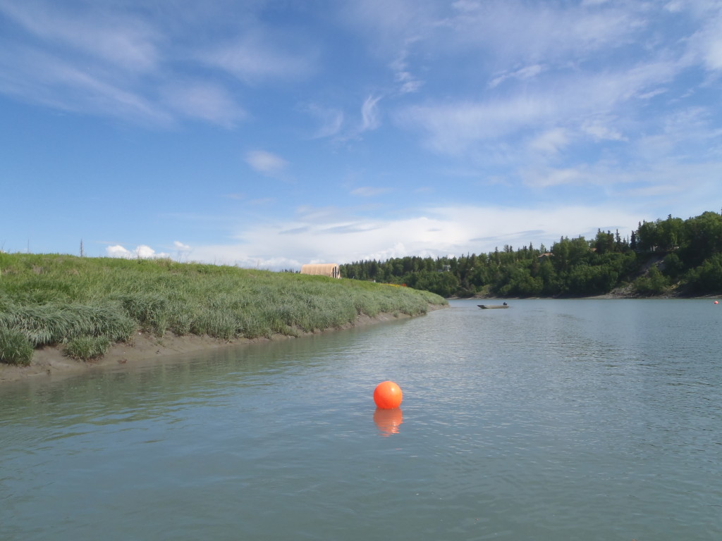 Spring Fens  Kenai Watershed Forum