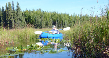 jp-so-creek-lily-pads