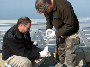 Spring Fens Kenai Watershed Forum