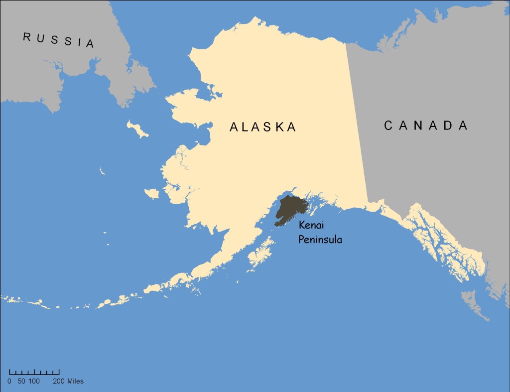 Spring Fens  Kenai Watershed Forum