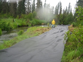 Tarping Reed Canary Grass at Beaver Creek