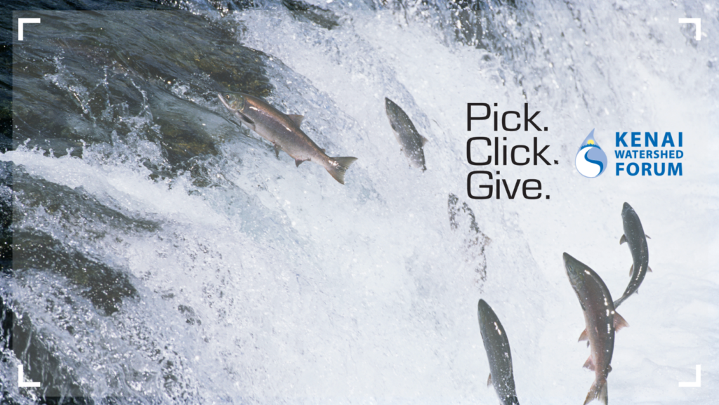 Kenai Watershed Forum Pick Click Give