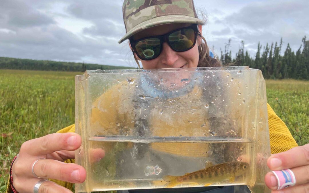 Woman holding juvenile salmon in a clear photarium, outdoors in wetlands area