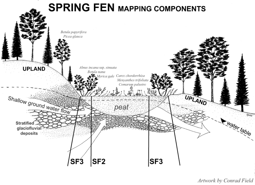Spring Fens  Kenai Watershed Forum