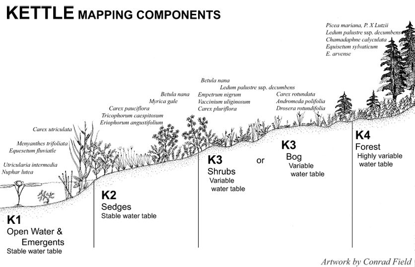 Kettled topography with water ponds in kettle holes and washboard