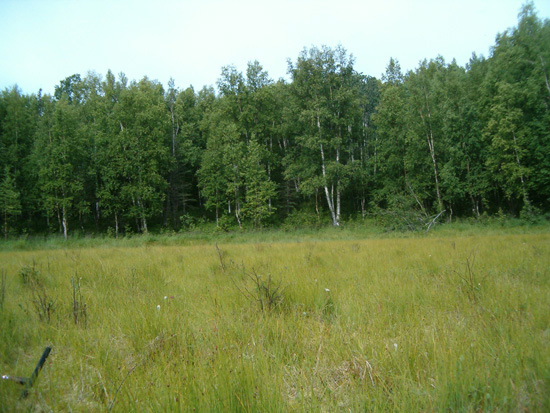 Nature Glance-What's a Fen? 